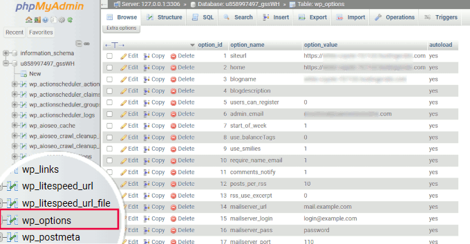 Options table in WordPress database Options table in WordPress database