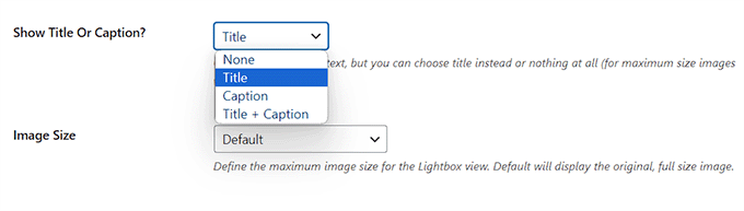 Configure image title and size Configure image title and size