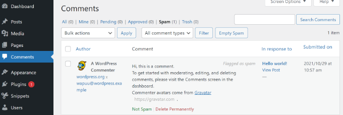 Spam comments in WordPress Spam comments in WordPress