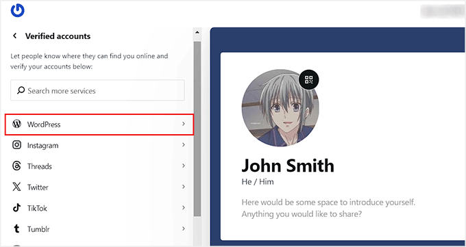 选择 WordPress 选项