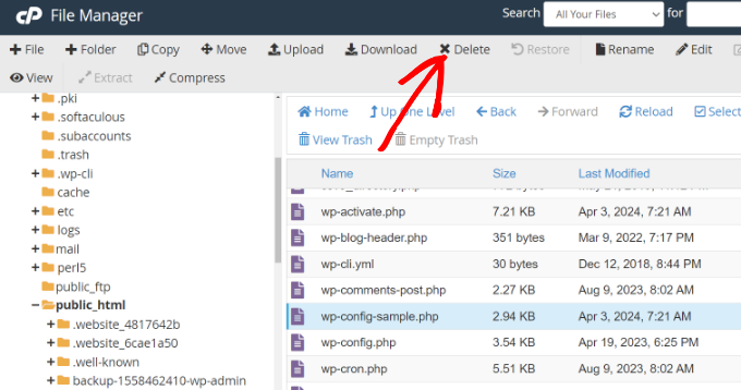 从 cPanel 文件管理器删除核心文件