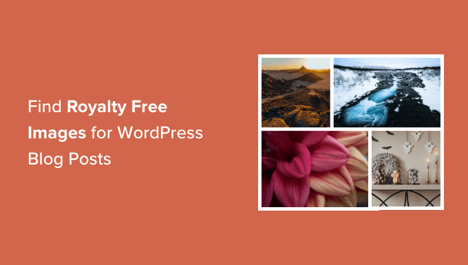 为你的 WordPress 博客文章寻找免版税图片 为你的 WordPress 博客文章寻找免版税图片