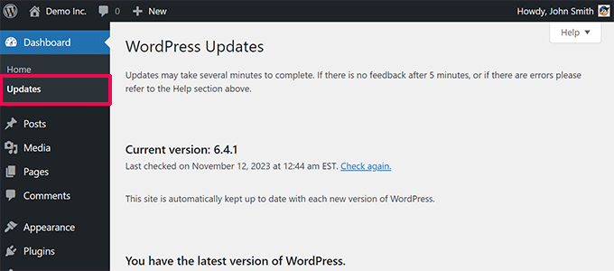检查 WordPress 更新