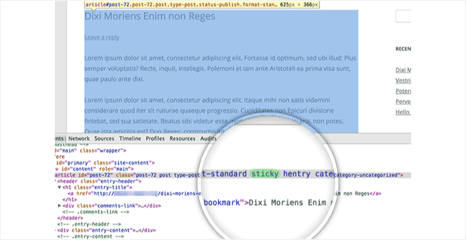 粘性帖子 CSS 类
