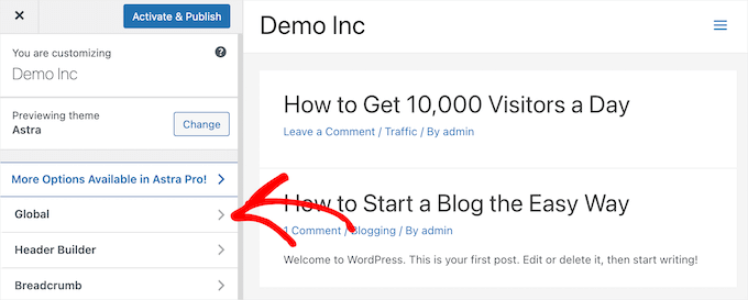 预览并测试新 WordPress 主题