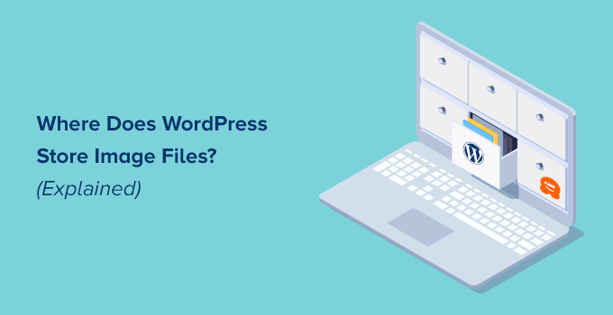 WordPress图片存储位置:你的网站图片存放在哪里