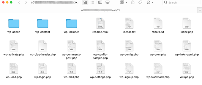 WordPress 文件和文件夹 WordPress 文件和文件夹