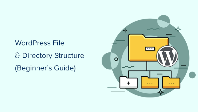 WordPress 文件目录结构详解 WordPress 文件目录结构详解