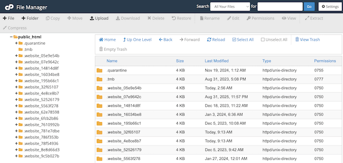 如何使用 cPanel 删除 WordPress 网站