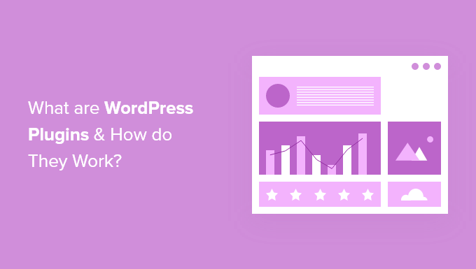 WordPress插件是什么?它们如何工作?