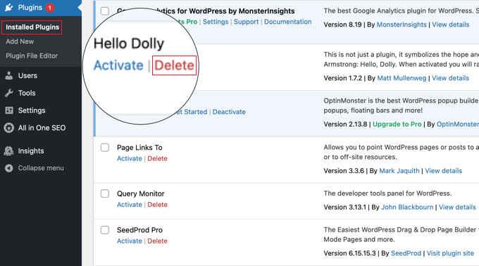 删除未激活的 WordPress 插件
