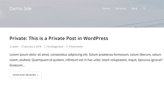 WordPress私密文章预览