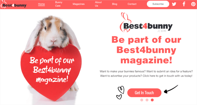 Best 4 Bunny 主页 Best 4 Bunny 主页
