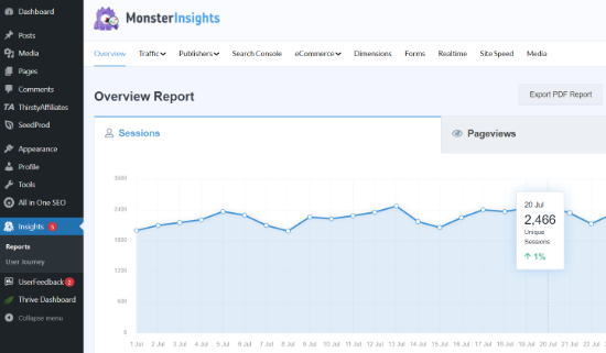 MonsterInsights概览报告