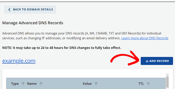 添加高级 DNS 记录