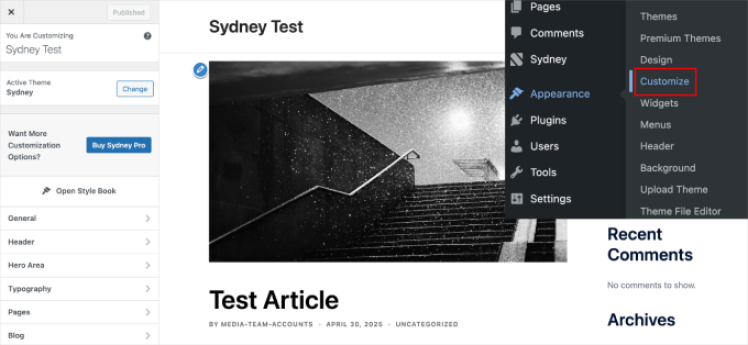 sydney-theme-customizer Sydney 主题自定义器