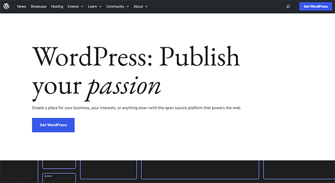 WordPress 网站
