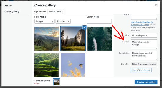 WordPress 画廊说明
