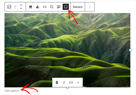 WordPress 图片说明按钮