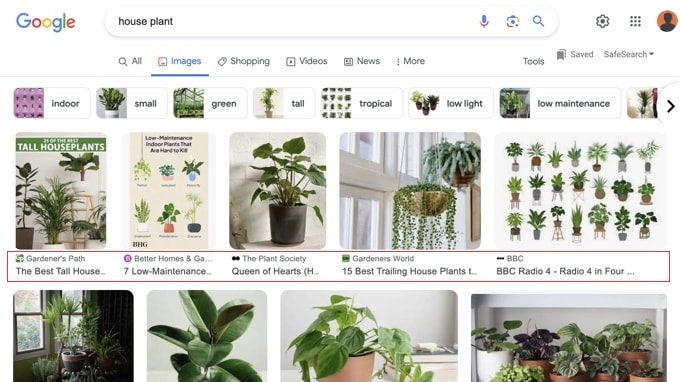 通过图片标题搜索 Google图片搜索结果中显示替代文本的效果