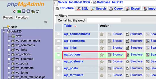 WordPress 选项表 WordPress 选项表
