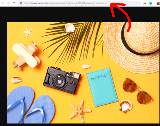 Get the URL of Images in WordPress Get the URL of Images in WordPress