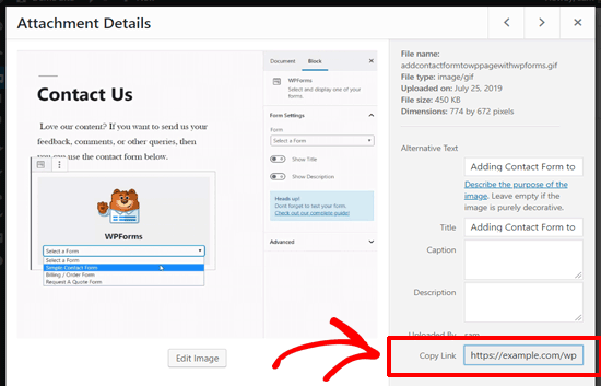 gif-url-in-wordpress gif URL in WordPress