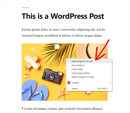 Open WordPress Image in a New Tab Open WordPress Image in a New Tab