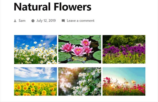 使用 Envira Gallery 创建的 WordPress 照片图库 使用 Envira Gallery 创建的 WordPress 照片图库