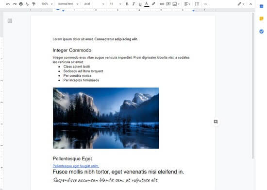 Google Docs 示例 Google Docs 示例