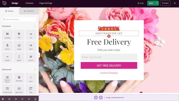 SeedProd 页面构建插件