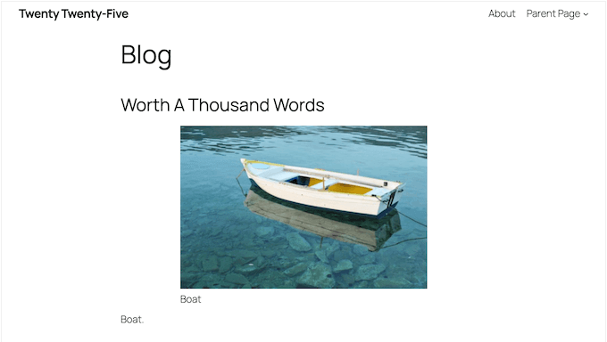 WordPress 默认主题示例