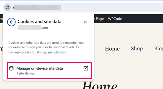 在 Google Chrome 中管理设备上的网站数据