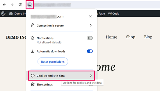 Google Chrome 中的网站 Cookie 和数据