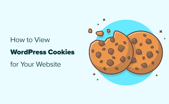 如何判断你的WordPress网站是否使用了Cookies