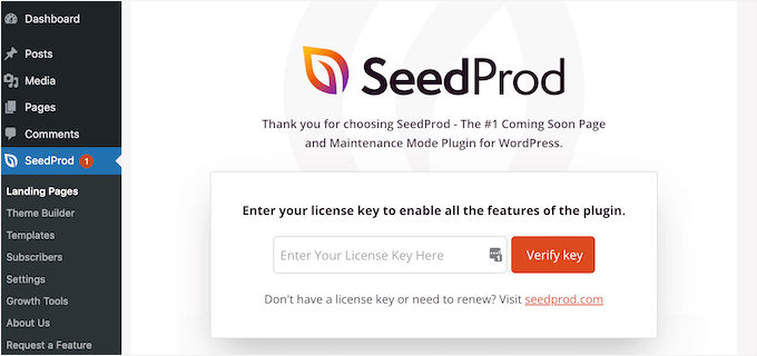 SeedProd许可证密钥
