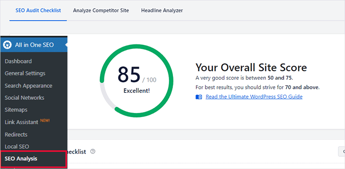AIOSEO SEO 分析