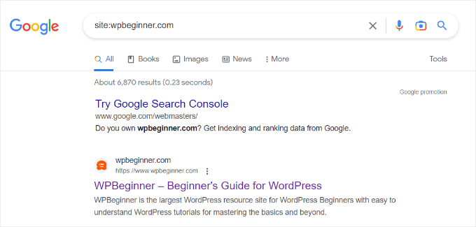 Google 中的 site 搜索操作符