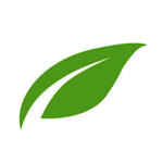 Thrive Architect 是适合你 WordPress 网站的页面构建器插件吗？