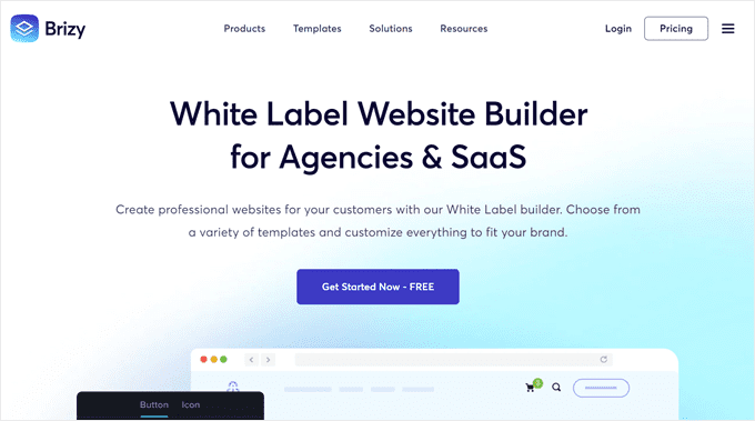 Brizy WordPress 网站构建器