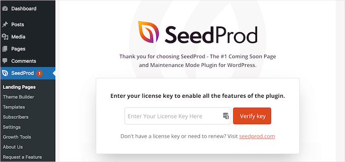 添加 SeedProd 许可证密钥 添加 SeedProd 许可证密钥