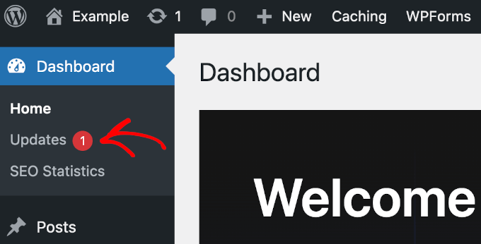 WordPress 仪表盘上的更新按钮